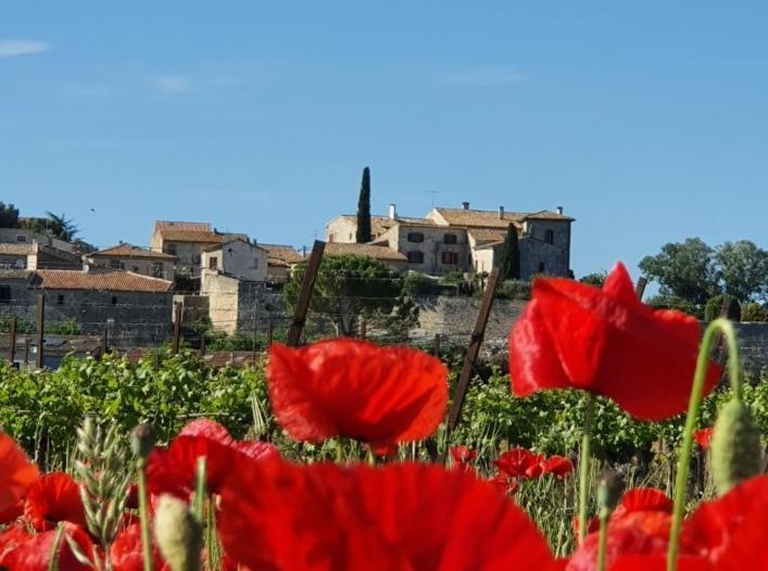 La Vivienda Bed and Breakfast Lecques Εξωτερικό φωτογραφία